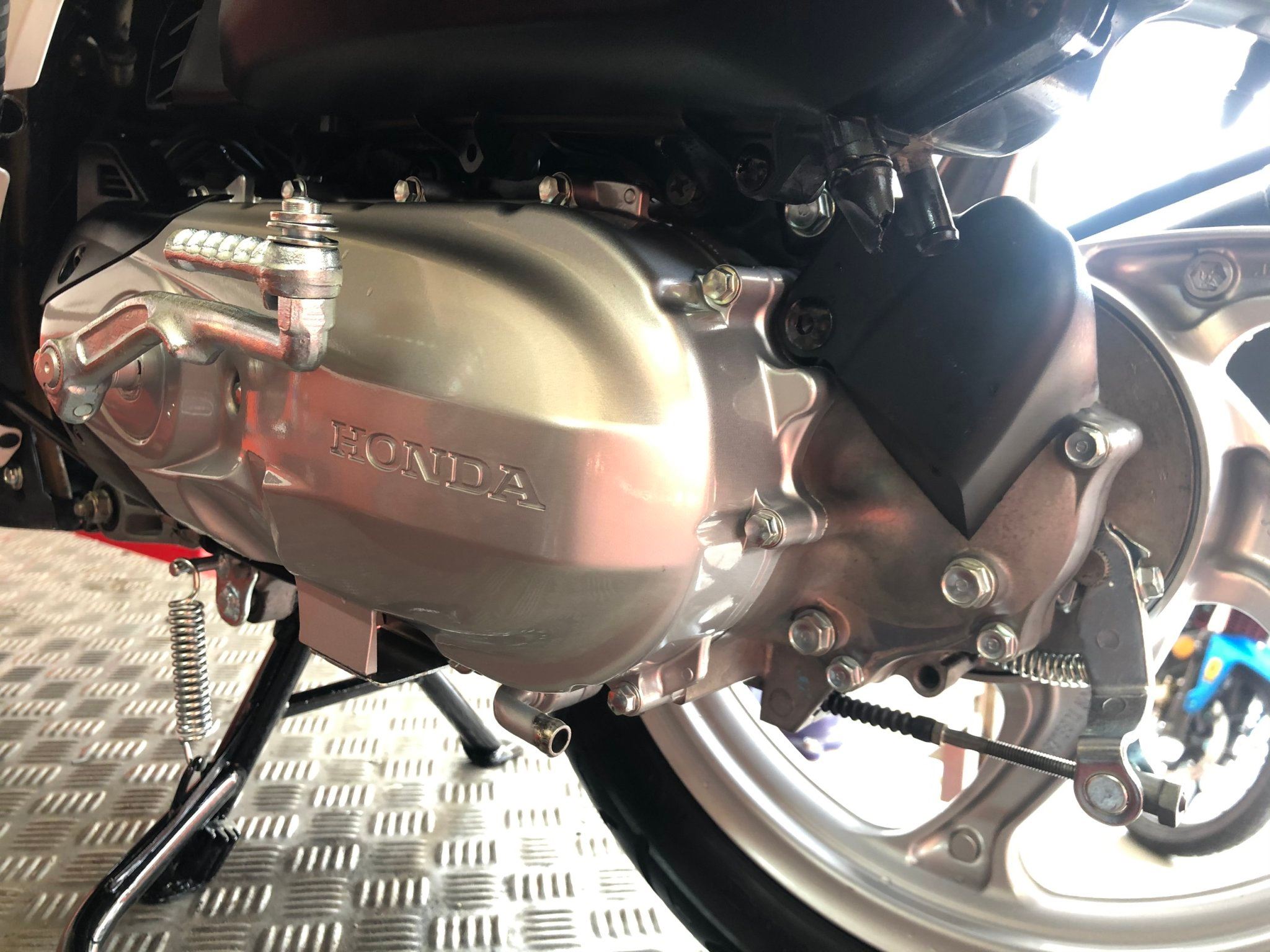 118404125 1612457148913829 4344095027957953727 o